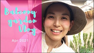 【春夏野菜植付け】ベランダ菜園Vlog 2021年4月