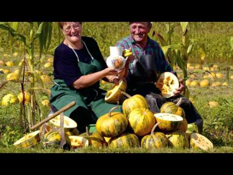 Südsteirische Weinstraße