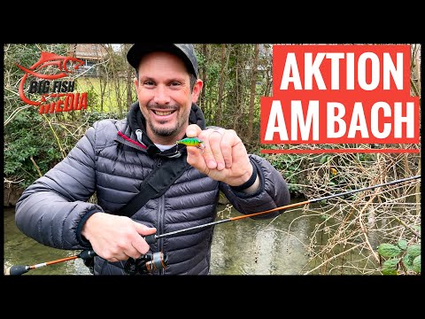 So ein Mist - DAS wäre es gewesen - Angeln am Bach