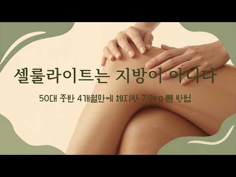 식욕 호르몬 워크샵 영상