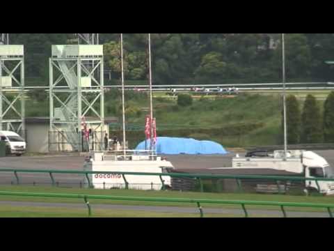 2012 ユニコーンステークス 　ストローハット UNICORN STAKES STRAW HAT