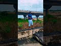 Dai Pachkili Enga Pora Vadivelu Ultra City Fun Time