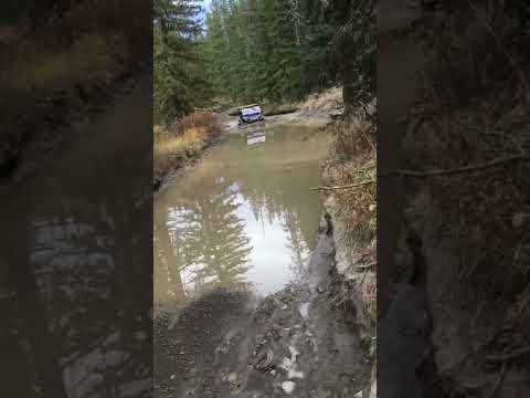 2021 Yamaha Viking