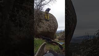 Video thumbnail of Placa del Roble, 6A. La Pedriza