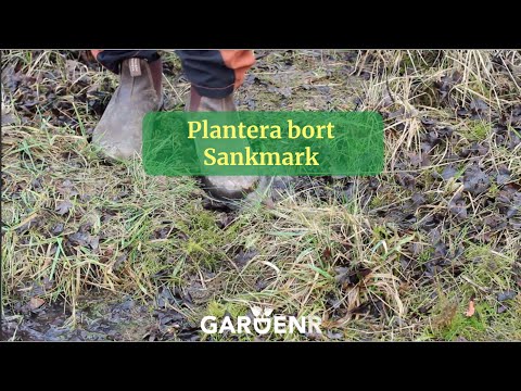 Plantera bort sankmark - Trädgårdshacks med GardenR