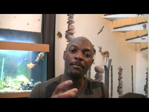 pourquoi y a t il beaucoup de juifs a la tele