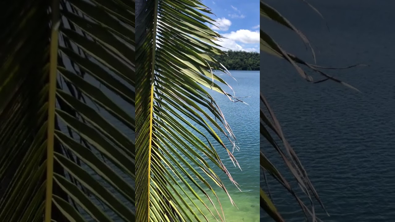 YouTube Short thumbnail