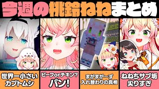 【9月2週目】今週の桃鈴ねね面白シーンまとめ【桃鈴ねね 白上フブキ 雪花ラミィ 大空スバル さくらみこ 博衣こより ホロライブ 切り抜き動画】