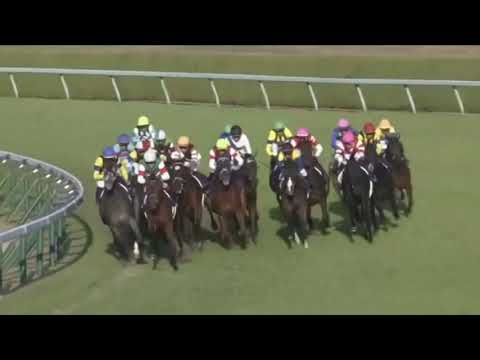 AKAI ITO WINS QUEEN ELIZABETH II CUP 2021