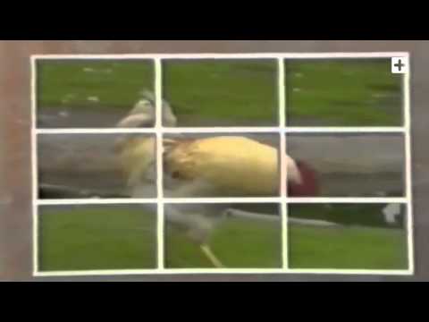 Digitalism vs Tommy Trash - Falling (Official Video)