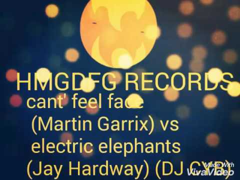 Can't feel face (Martín Garrix) vs electric elephants (Jay Hardway) remix (DJ CYB)