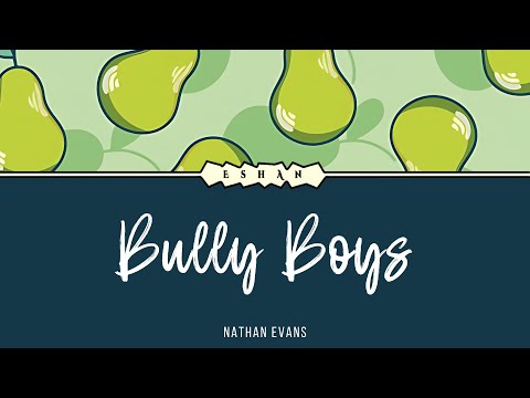 LYRICS BULLY BOYS I NATHAN EVANS