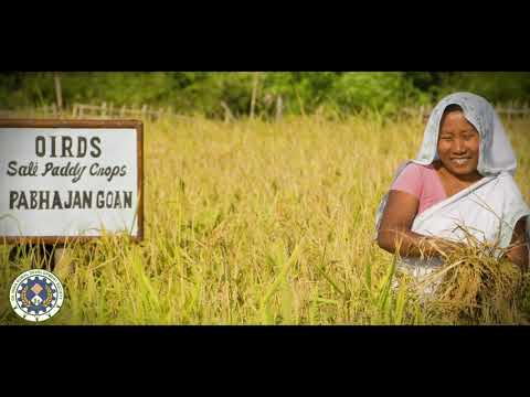 Sustainable Livelihood