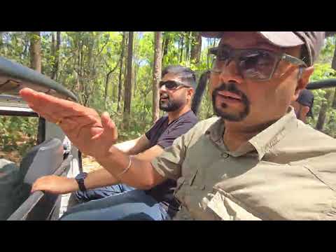 Trip to Dhikala Forest Rest House | Sultan & Sarpduli Visit | Elephant Herds Sighting | Jim Corbett
