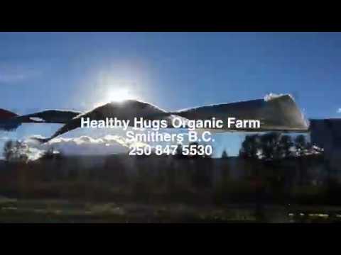download lagu mp3 mp4 Healthy Hugs Organics, download lagu Healthy Hugs Organics gratis, unduh video klip Healthy Hugs Organics