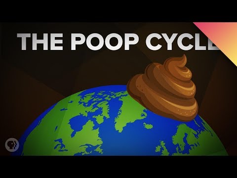 How Poop Shapes the World