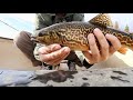Video Thumbnail for Fishing late fall trout  (tigers&splake)