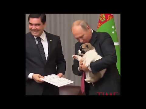 Putin's Extraordinary Alpha Male Walk