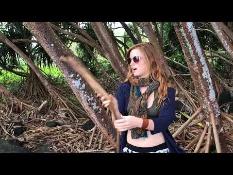 Hala; sacred Plant of Hawaii