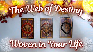 How Is DESTINY Working in Your Life? 🕷️🕸️🗝️ Detailed Pick a Card Tarot Reading