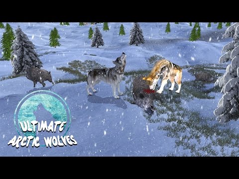 Arctic Wolf Simulator Video