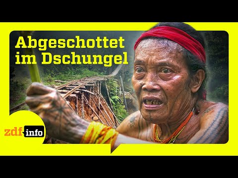 Video Thumbnail: Wie die Gier nach Palmöl Indonesiens indigene Völker verdrängt | ZDFinfo Doku