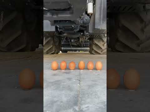 HOW DID NOT ONE EGG BREAK?! 🤯🥚#tractor#johndeere#shorts#usashorts