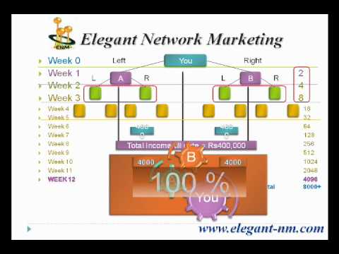Elegant Network Marketing Business Presentation (Part 2)