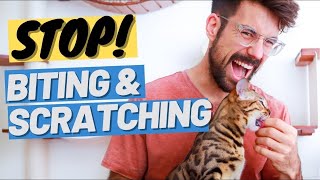 AGRESSIVE CAT? This can help! - Stop a Cat Biting and Scratching