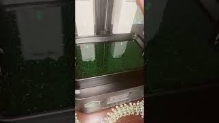 #sunlu green clear Abs like resin