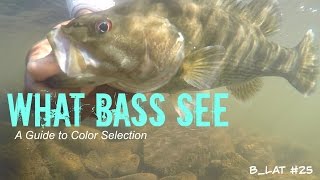 Download lagu What Bass See How to Select Lure Colors... mp3