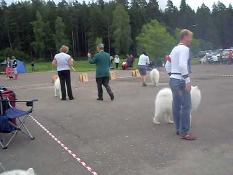 CAC Ogre LV 28.06.2009