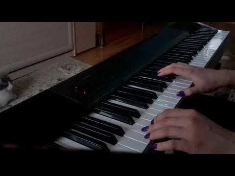 Leon Van Der Stel – The Signal (We Were Here Together)