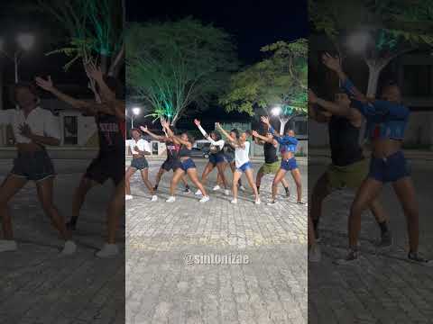 A Festa do Passa a Mão - É o Tchan
