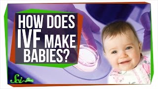 How Does IVF Make Babies?