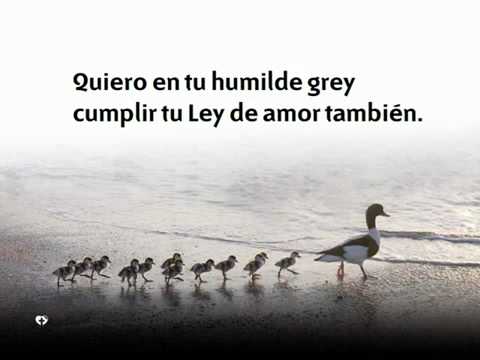 487 Cristo eres justo Rey - Nuevo Himnario Adventista