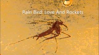 Rain Bird: Love And Rockets