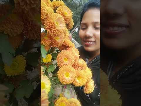 #flowers #shorts #youtubeshorts