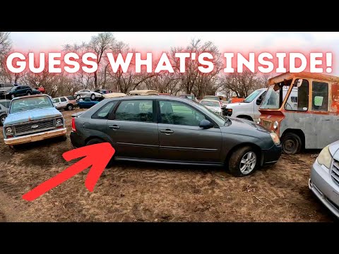 Ho trovato un TESORO da DISASTRI in queste AUTO ABBANDONATE!