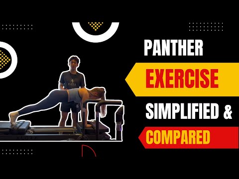 Panther on the Megacore Reformer: what you need to know (compared to Xformer Pilates Machine)
