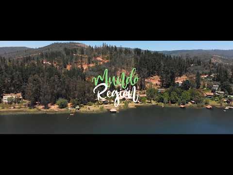 AURISTELA CORREA - MUNDO REGIÓN ( Serie Musical )