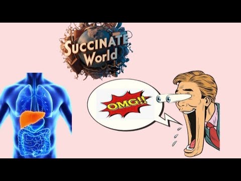 The Liver's Nitrogen Metabolism - The Liver's Nitrogen Alchemy: Unraveling the Urea Cycle