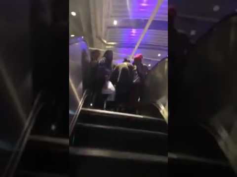 Funny Karen Family Go On Escalator For The First Time