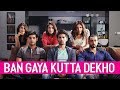 Ban Gaya Kutta Dekho Pyar Ka Punchnama 2 Viacom18 Motion Pictures