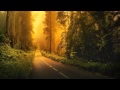 Luciana - U B THE BASS (Kill The Buzz Bootleg ...