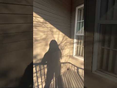 Roosevelt - 1500 - Video 4 of 4