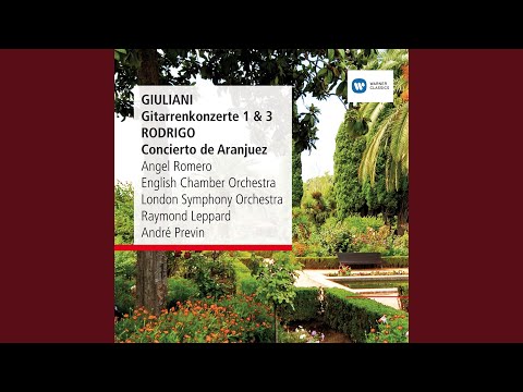 Guitar Concerto No.3 in F Major, Op.70: I. Allegro moderato