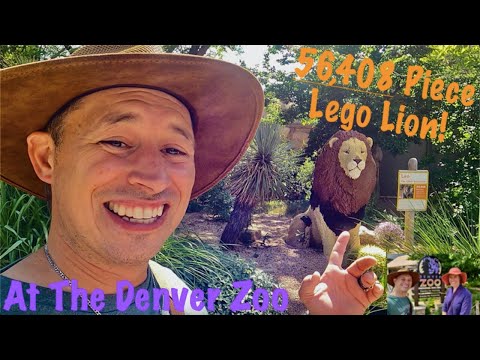 Denver Zoo: Exciting Found Wonders of the Safari Come Alive!