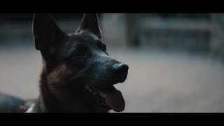 Zeds Dead x DISKORD x Reija Lee - Blood Brother