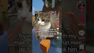 Funny Memes